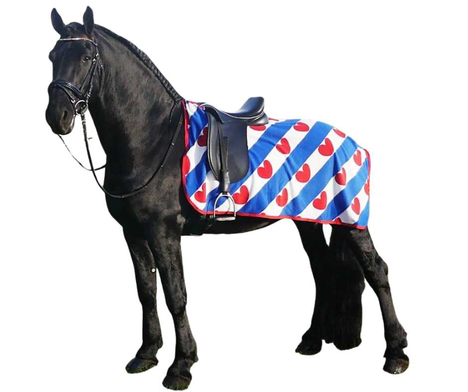 Adino horse rug