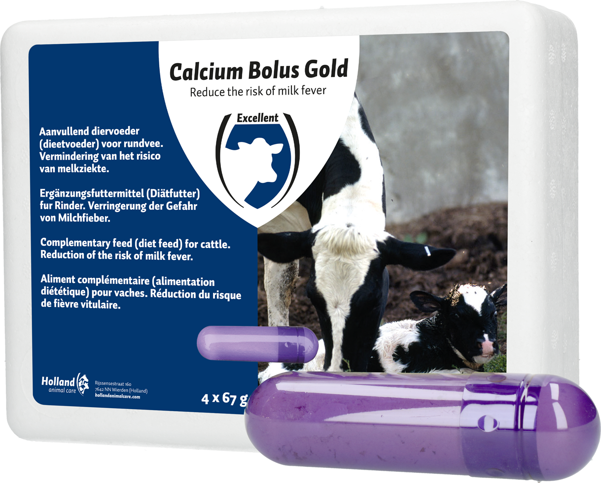 Calcium bolus, gold, milk fever, cattle birth, calving