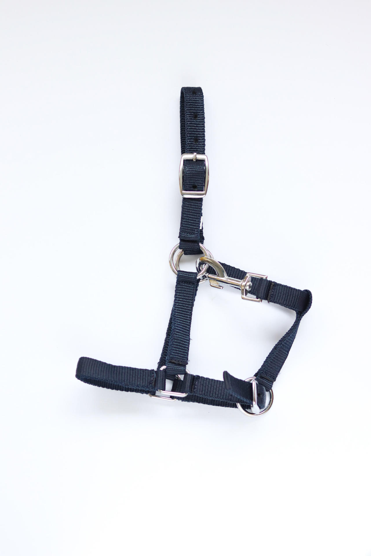 Astrid foal headcollar