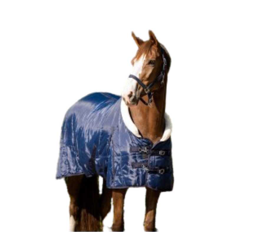 Basa horse rug