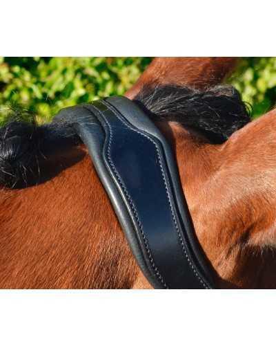 Showtime Great Pleasure bridle