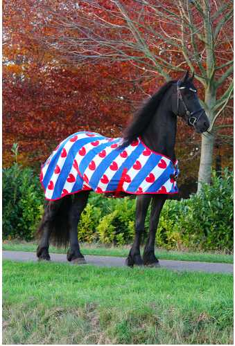 Adin horse rug