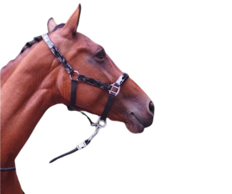 Pagani Headcollar, halter