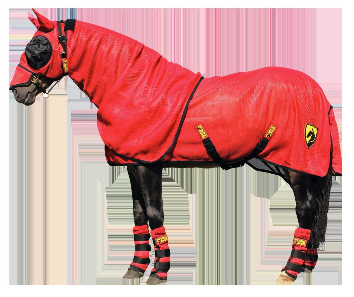 Porsche fly rug