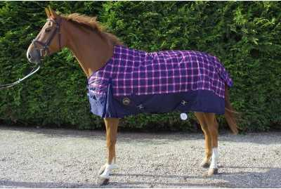Deniella winter horse rug