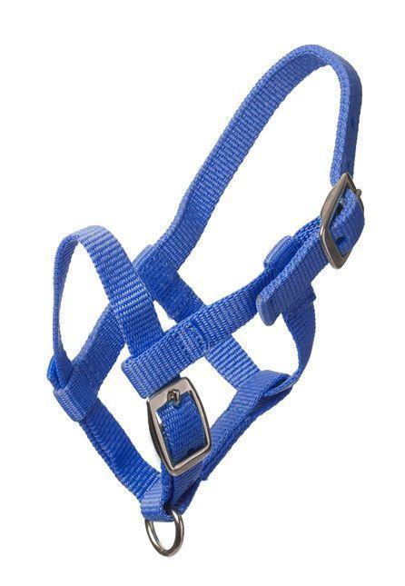 Adria Nylon headcollar