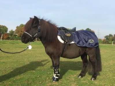 Harry and Hector rain blanket for pony