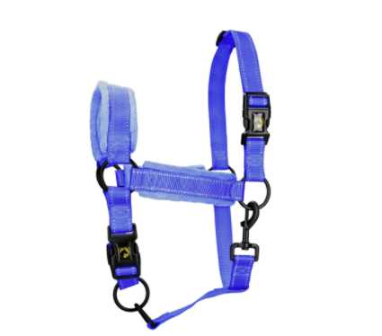 Monzo Headcollar, halter