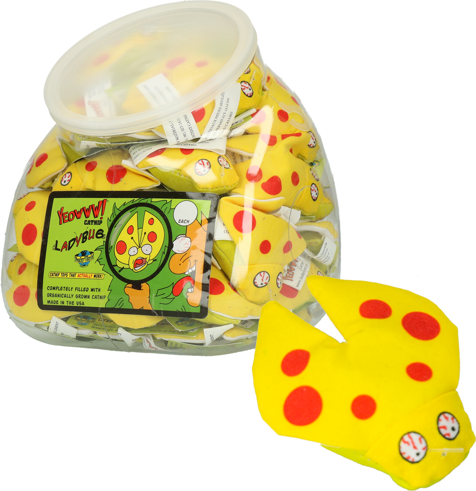 Lady Krinkle Bug (42 Ladybugs filled with catnip) cat toy