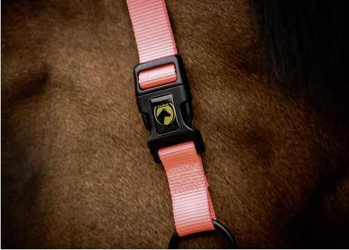 Monzo Headcollar, halter