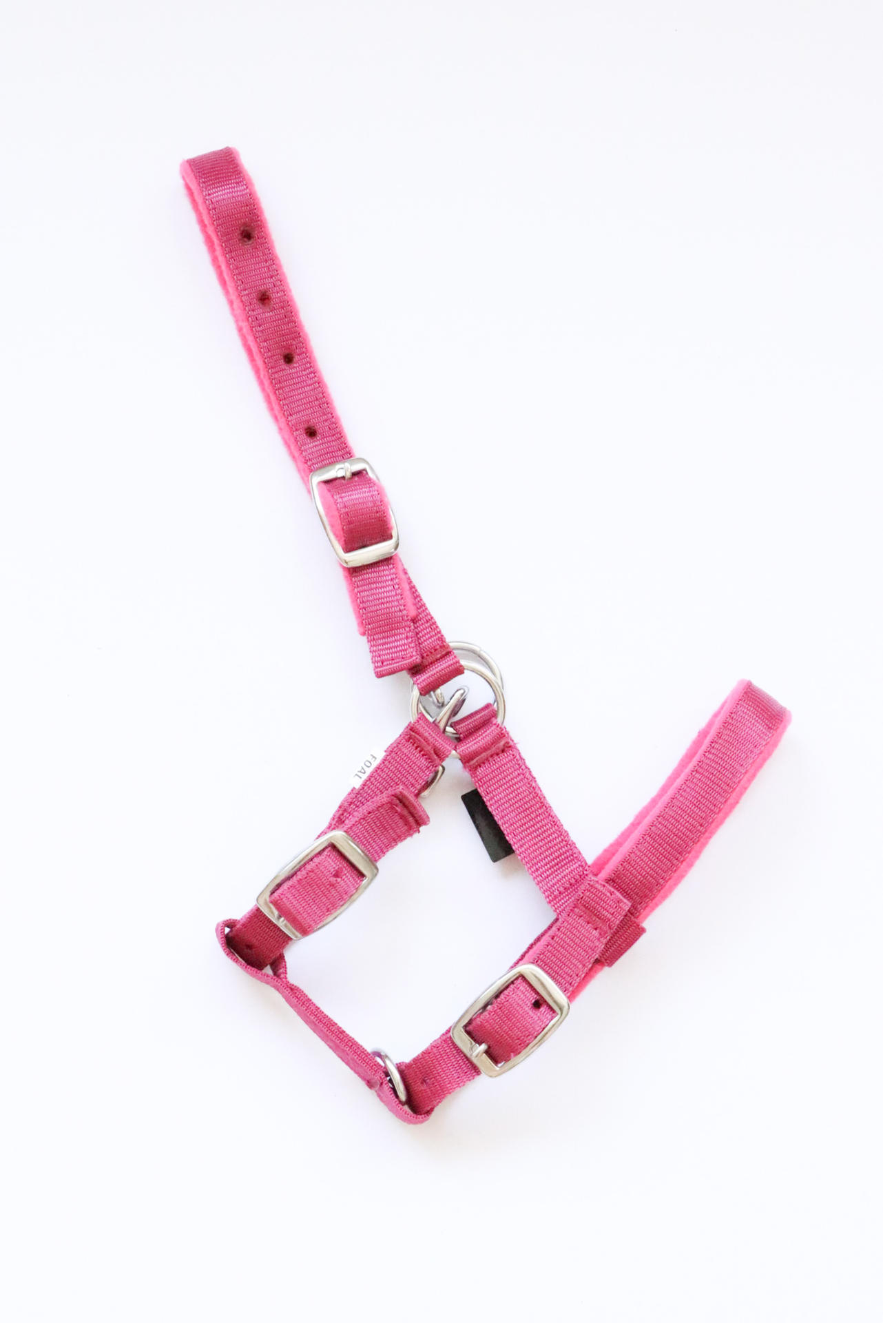Melfi headcollar, halter for foal