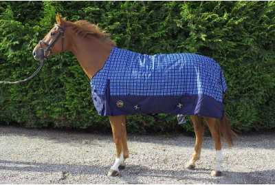 Deniel winter horse rug