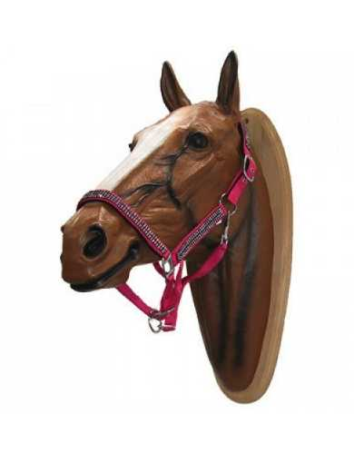 Volla Headcollar, halter