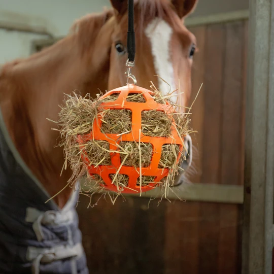 Flexible ball hay feeder for horses 22 cm orange