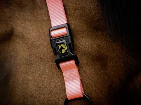 Monza Headcollar, halter