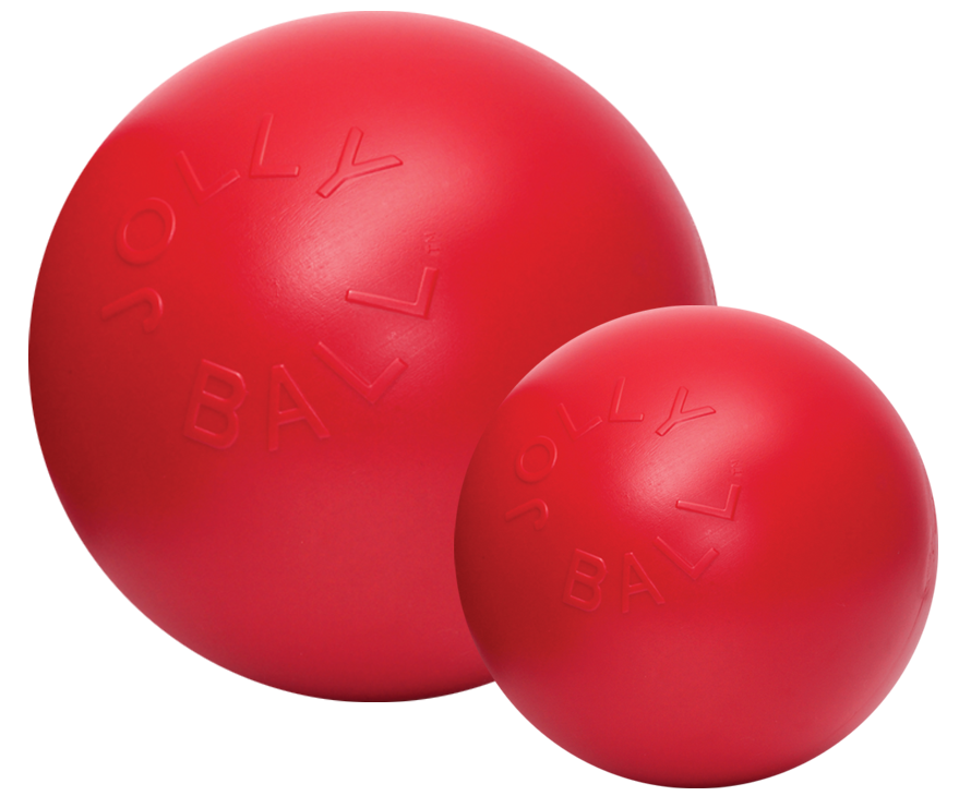 Push-n-Play 25cm dog ball blue