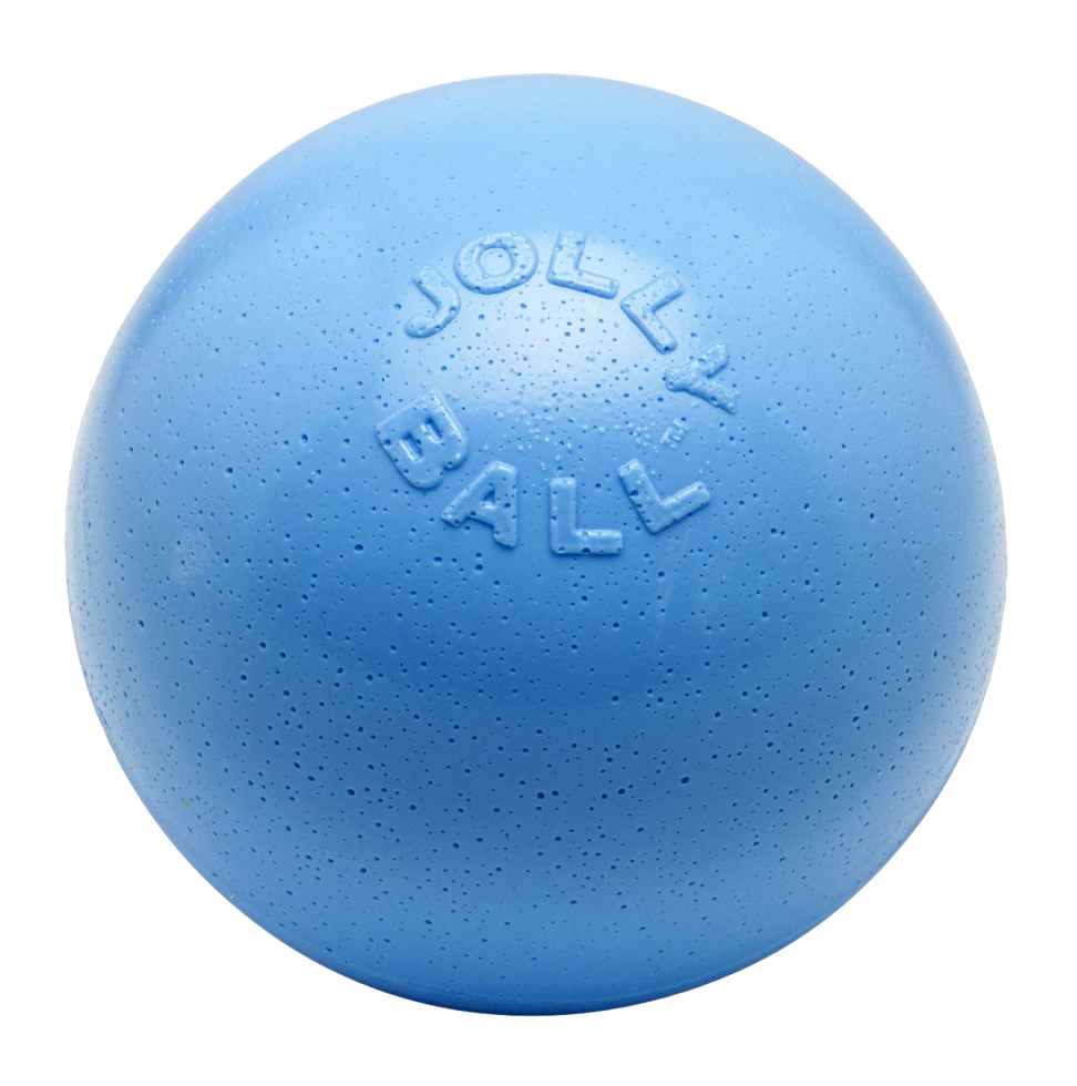 Bounce-n Play 20cm dog ball