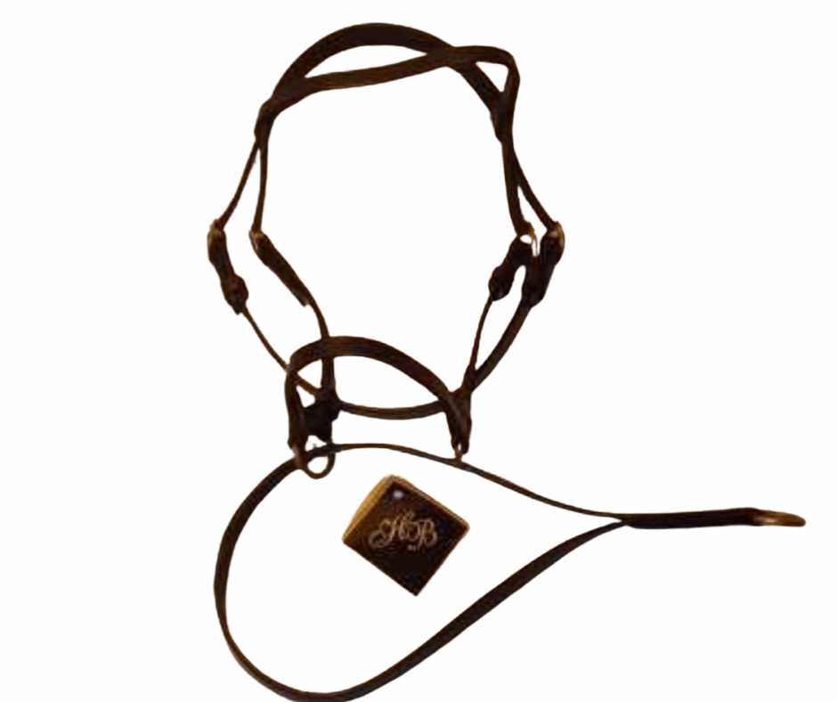 Luxury leather bridle