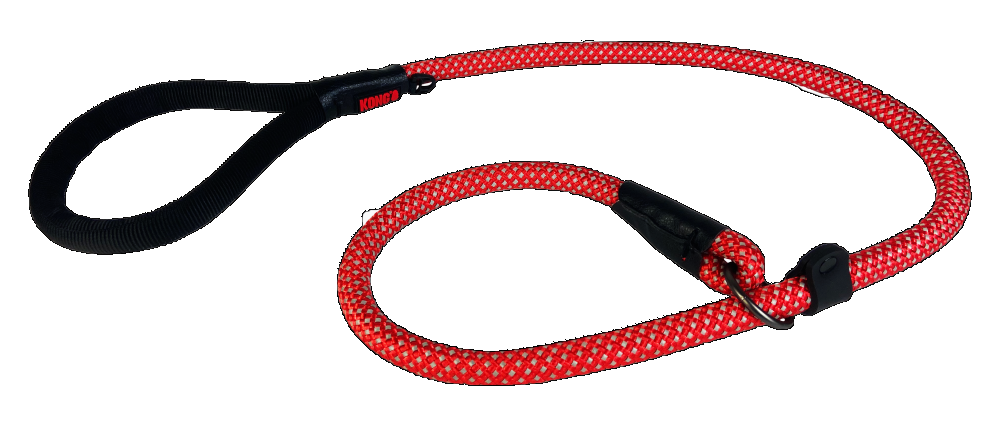 Dog leash 1,5m red