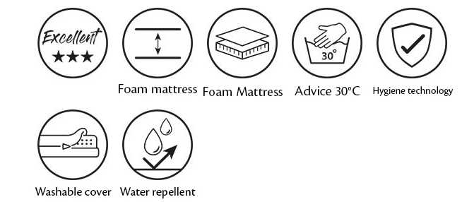 Manchester dog bed M