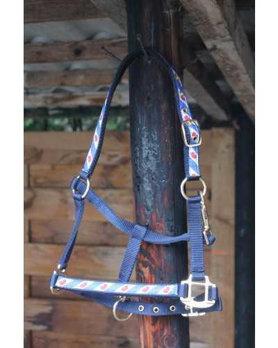 Kailo headcollar, halter
