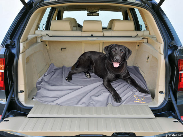 Bodyguard dog blanket grey