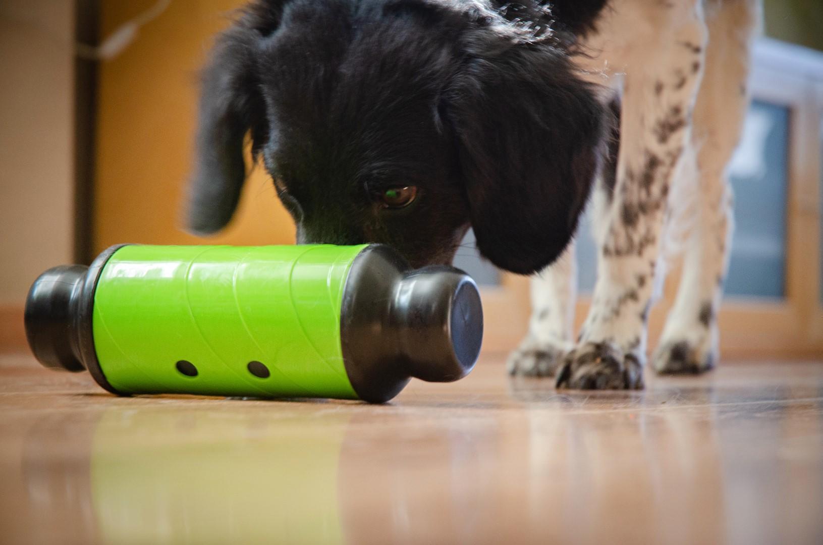 Slow feeding roller for dogs L