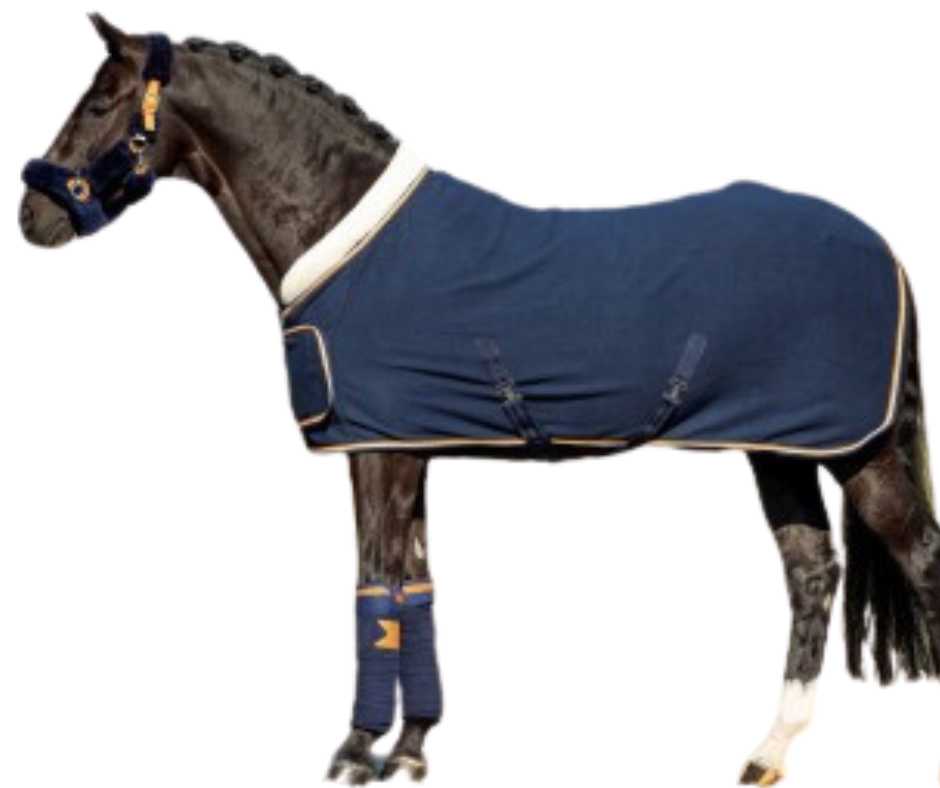 Showtime Blue Moon Horse rug