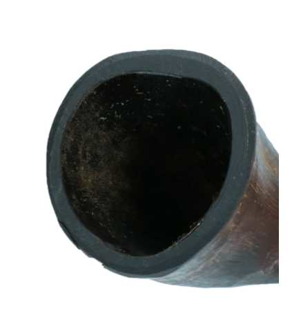 Horn shaped chewing bone L