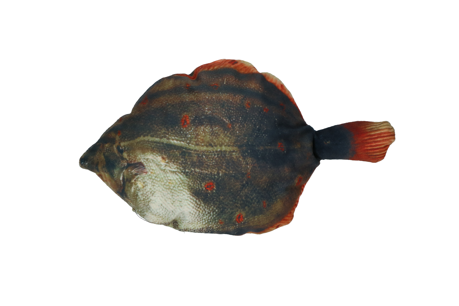 Fully hooked flounder S 20cm, cat toy