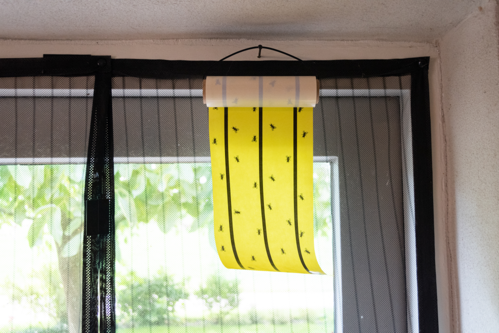 fly tape yellow barn pest control glue traps