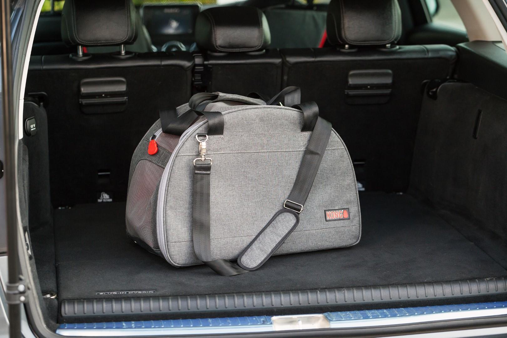 Bag and travel mat, 2 in 1 for pet transport