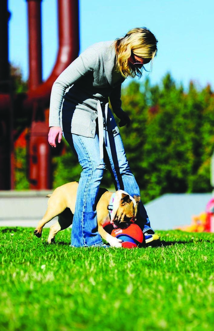 Kick Fetch 19 cm dog ball