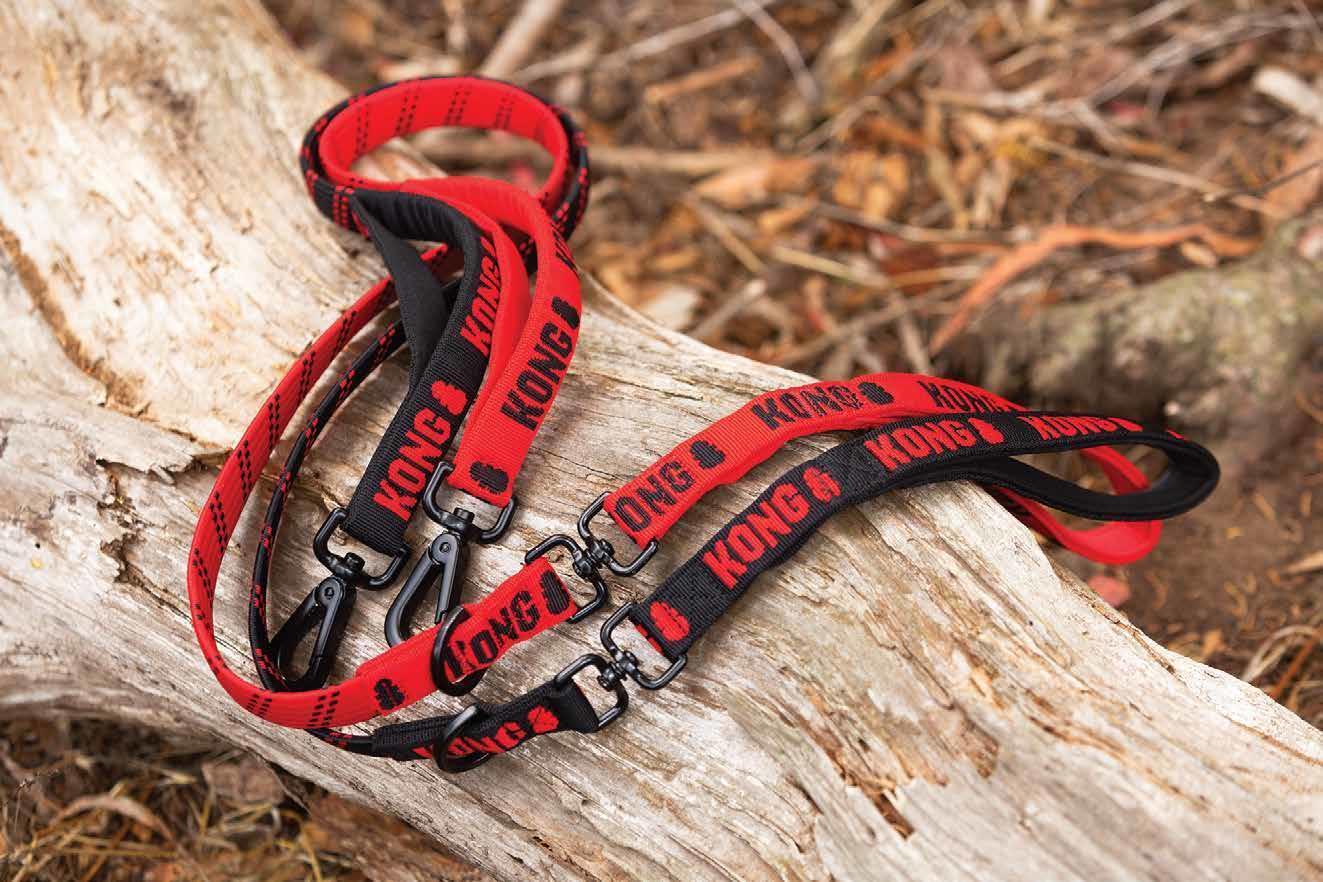 Premium dog leash red