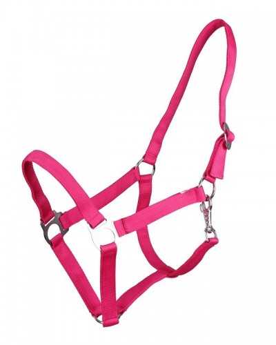 Apollo Nylon headcollar