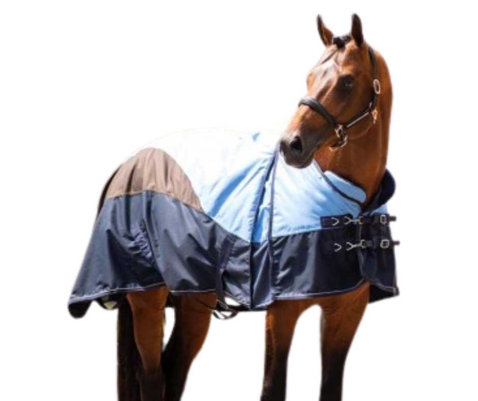 Showtime Bella winter horse rug