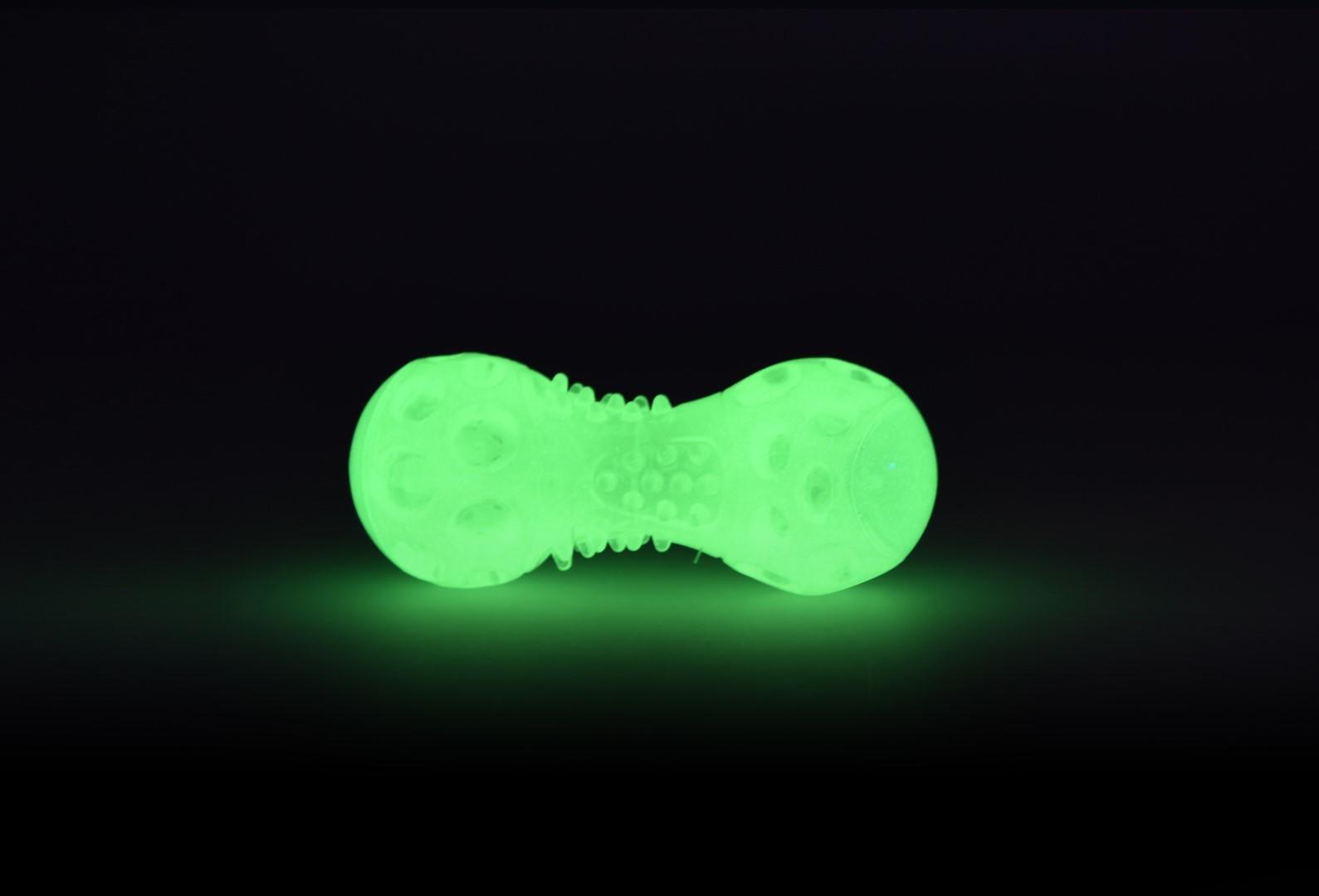 Illuminated bone shaped dog toy