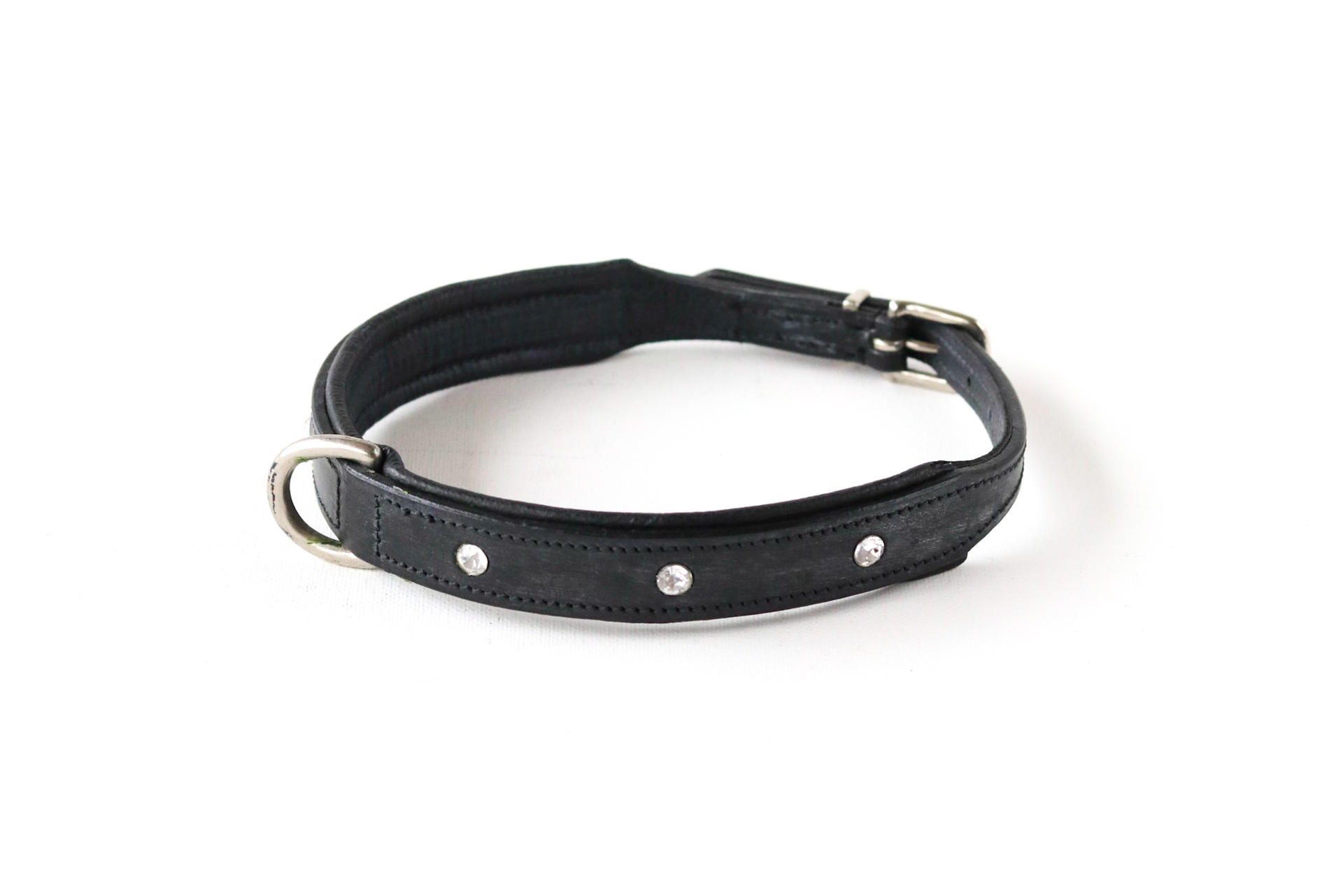 Special dog collar