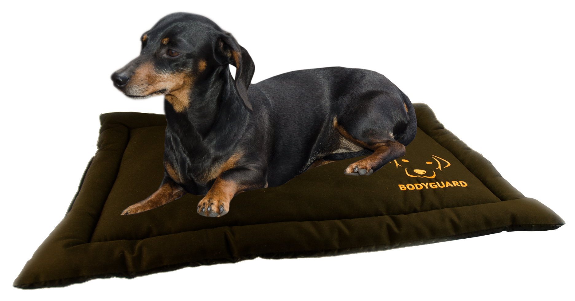 Dog rug for travel S brown