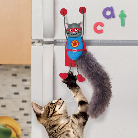 Game with magnets cat game