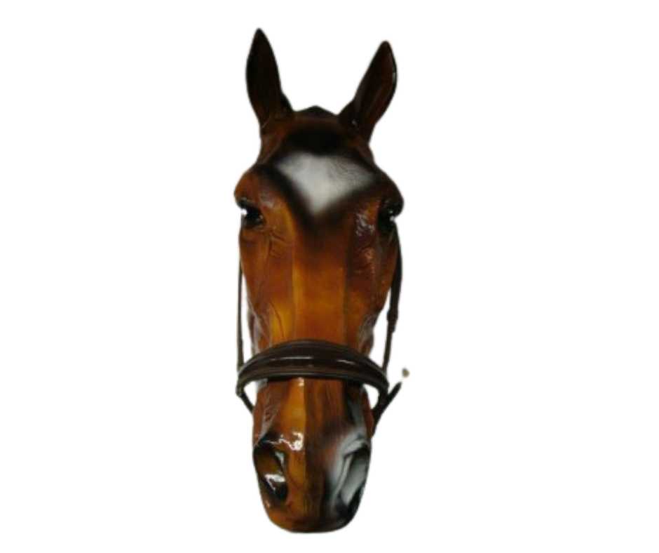 Berzi noseband
