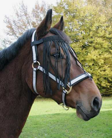 Fiona fly fringe