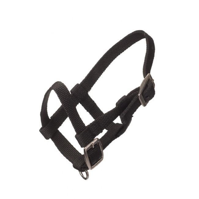 Adria Nylon headcollar