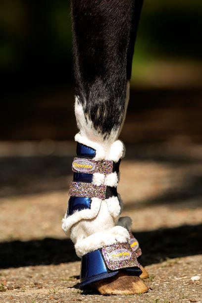 228 Show-time Gold Rush Glitter training tendon boots small size champagne color 3XS horse foot protection