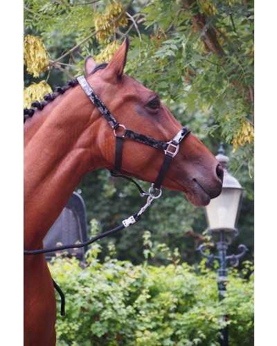 Pagani Headcollar, halter