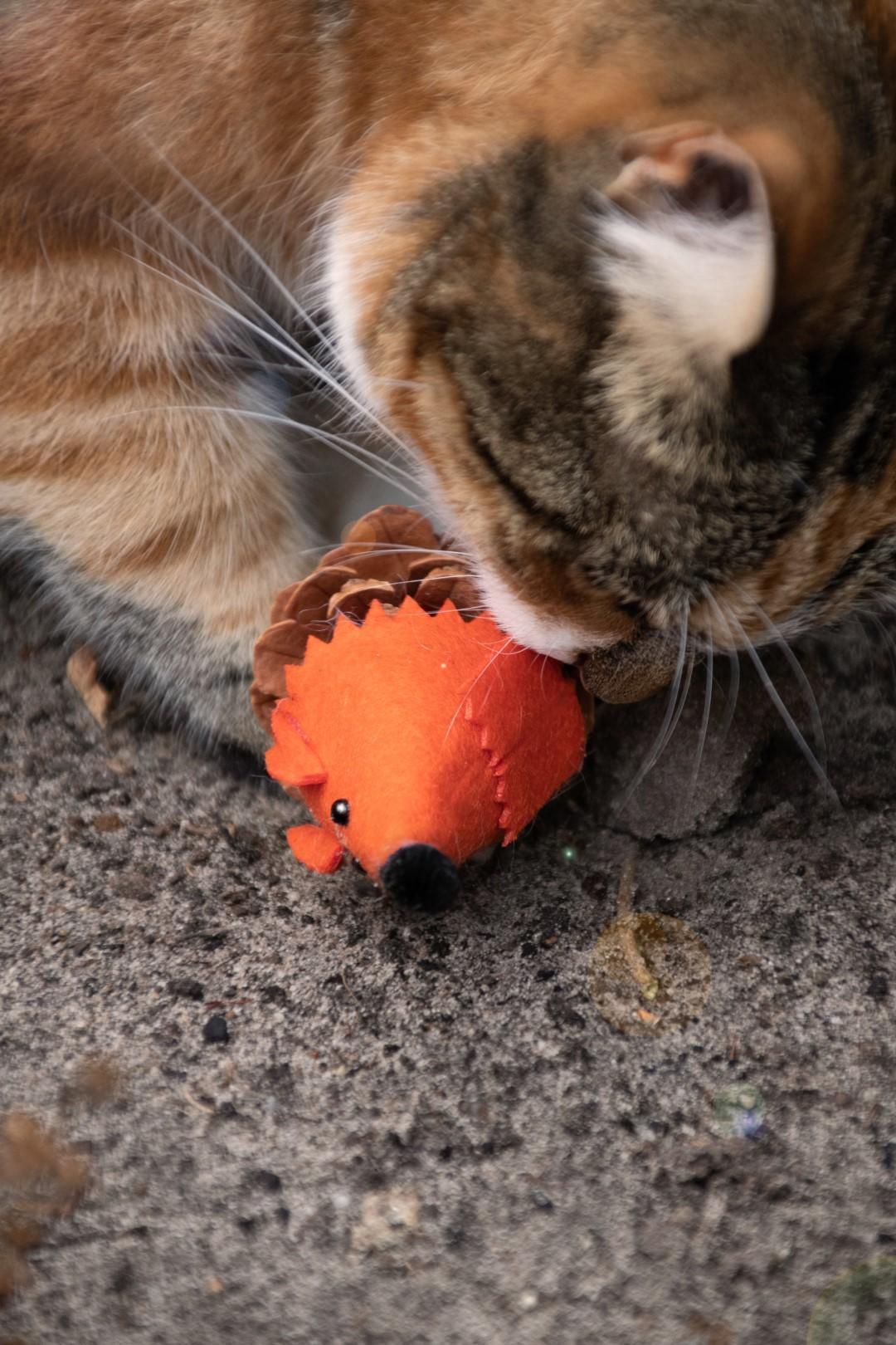 Mouse orange cat toy