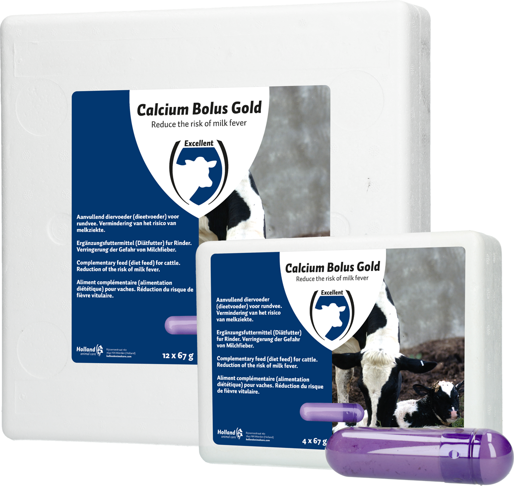 Calcium bolus, gold, milk fever, cattle birth, calving