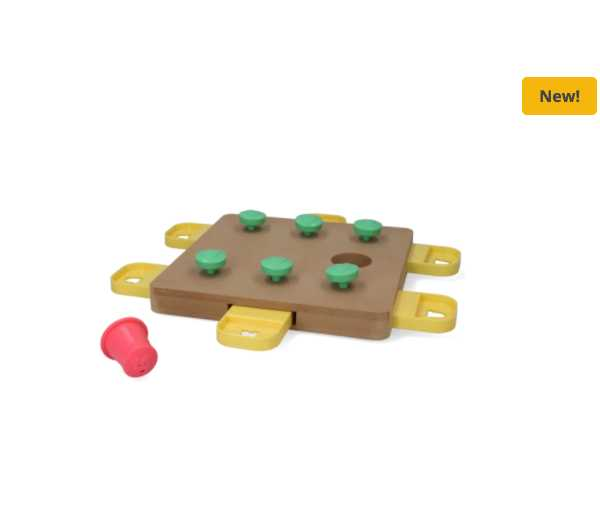 Dog training game level 2