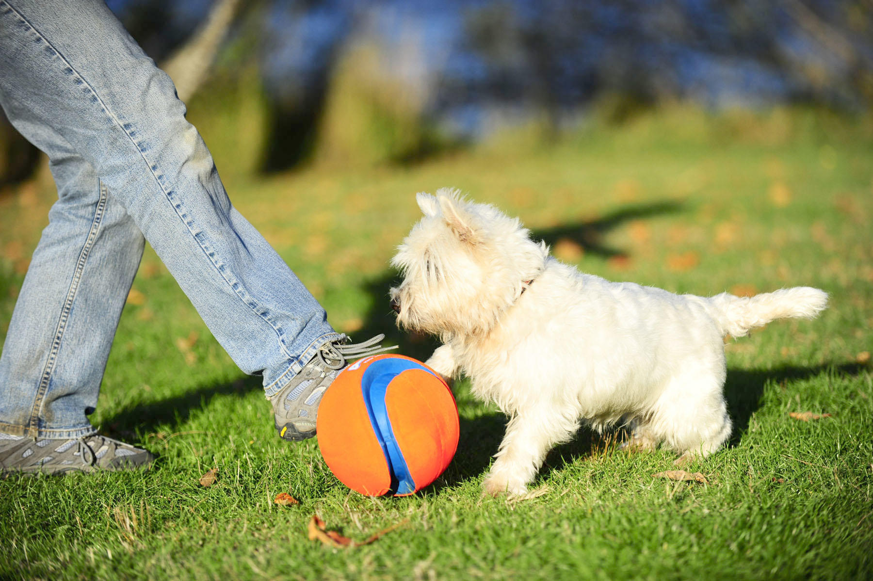 Kick Fetch 19 cm dog ball