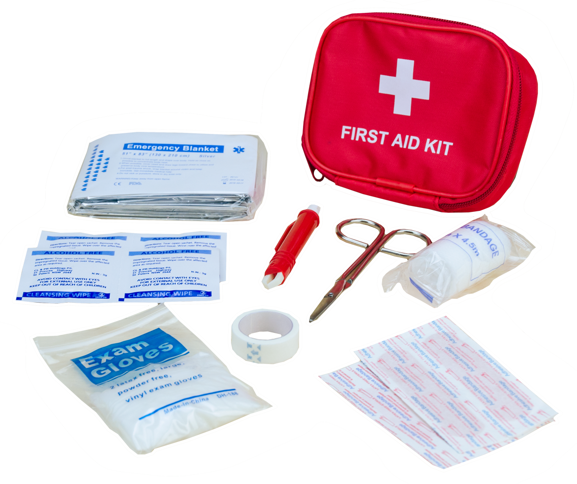 Dog first aid kit